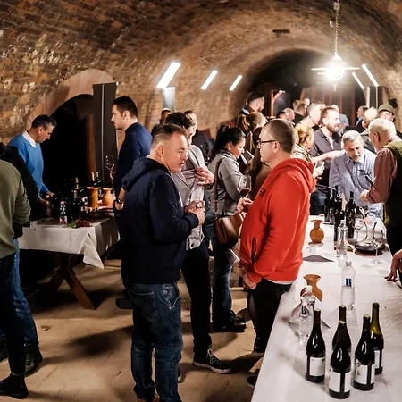 Credo Panzio 3* 维拉尼