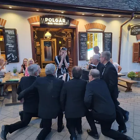 Credo Panzio 维拉尼