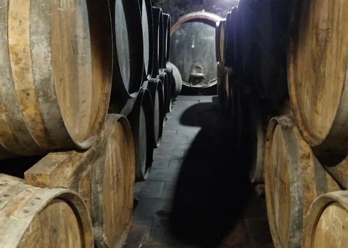 Bed & Breakfast Credo Panzio