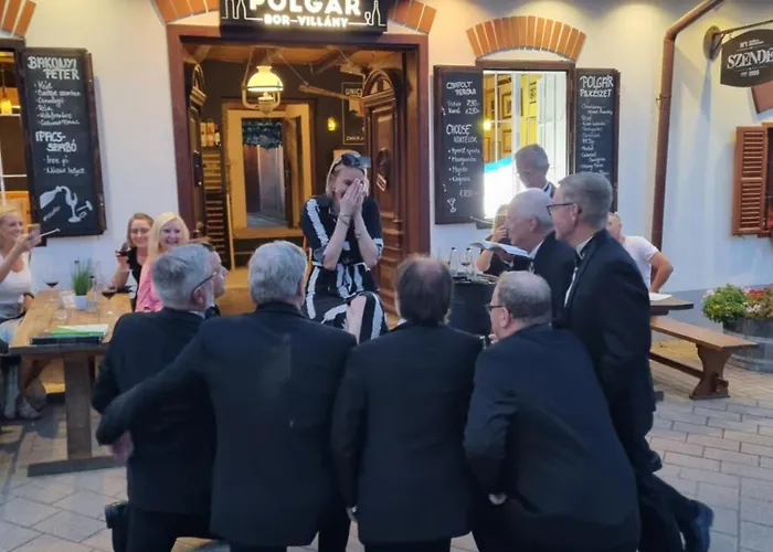 Credo Panzio Villany