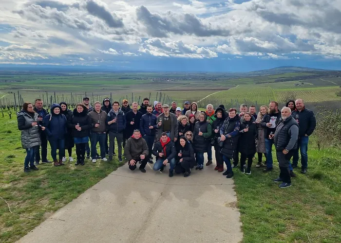 Bed & Breakfast Credo Panzio Villany